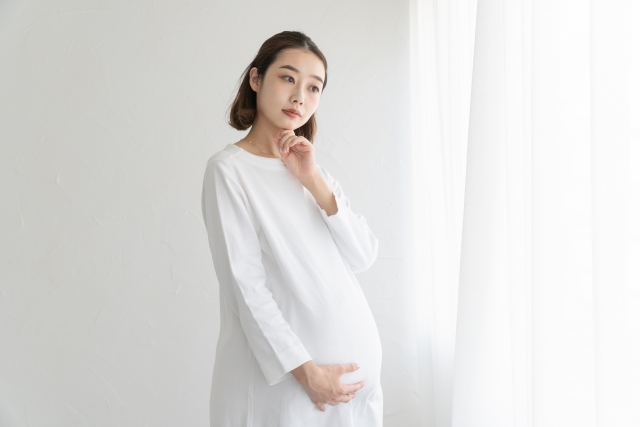 妊娠14週目のエコー写真からわかること 妊婦の特徴と注意点は Nipt 新型出生前診断 のコラム 平石クリニック
